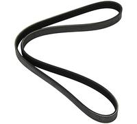 Dayco Correa Poly-V 6PK1152