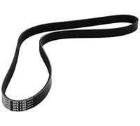 Dayco Correa Poli V 6PK1160 para PEUGEOT, FIAT, CITROËN