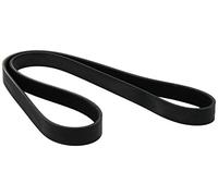 DAYCO Correa trapezoidal nervada para RENAULT: Captur, Kangoo, Mégane, Scénic, Clio, Talisman, Fluence, Kadjar, Thalia & DACIA: Duster (Ref: 6PK1195)