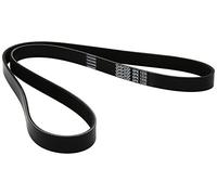 Dayco Correa Poli V 6PK1335 – Trapezoidal nervada para Volkswagen Transporter y Chrysler Stratus