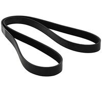 Dayco 6PK1437 Correa Trapecial Poli V