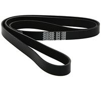 Dayco 6PK1606 Correa Trapecial Poli V