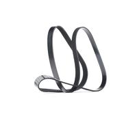 DAYCO 6PK1606 Correa trapecial poli V para OPEL Astra H Caravan (A04) 1606,0mm