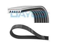 Dayco 6PK1660 Trapezoidal para Audi Seat VW Skoda Citroën Fiat Peugeot BMW