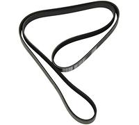 Dayco Correa Poly V 6PK1710 para Peugeot, Citroën, Chevrolet, Renault y Opel