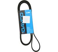 Dayco Correa Poli V 6PK1846