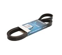 Dayco Correa trapezoidal nervada 6PK2195