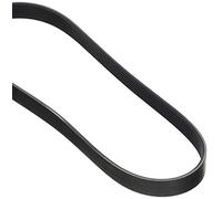 Dayco Correa trapezoidal poli V 6PK800 para Citroën C3 y Peugeot 307