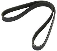 Dayco Correa trapezoidal Poli-V 6PK905S para Peugeot y Citroën