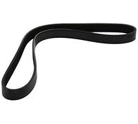Dayco 6PK955 Correa Trapecial Poli V