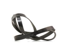 DAYCO 7PK2035S Correa trapecial poli V