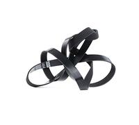 Dayco Correa trapecial Poli V 7PK2265