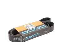 Dayco Correa trapecial poli V 8PK1509HD para Citroën Relay/Jumper y Mercedes Sprinter