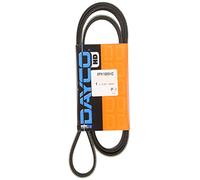 DAYCO 8PK1685HD Correa trapecial poli V