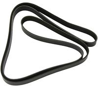 DAYCO 8PK2512 Correa trapecial poli V