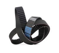 DAYCO 94864 Correa dentada