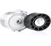 Tensor de correa, correa poli V DAYCO DAYAPV1028