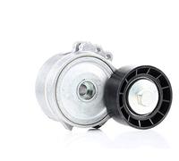 Dayco APV1030 Tensor de Correa, Correa Poli V