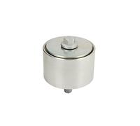 DAYCO APV1060 Polea inversión/guía, Correa Poli V