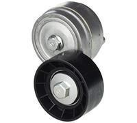 DAYCO APV1077 Tensor de Correa, Correa Poli V