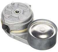 DAYCO APV1095 Tensor de correa poli V