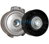 DAYCO APV1114 Tensor de Correa, Correa Poli V