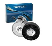 Dayco APV1150 Tensor de Correa, Correa Poli V