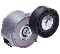 DAYCO APV1156 Tensor de Correa, Correa Poli V