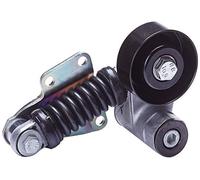 DAYCO APV2230 Tensor de Correa, Correa Poli V