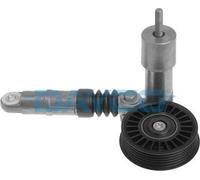 DAYCO APV2259 Tensor de Correa, Correa Poli V
