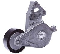 DAYCO APV2315 Tensor de Correa, Correa Poli V