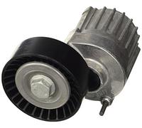 Dayco APV2511 Tensor de Correa, Correa Poli V