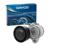 Dayco APV2774 Tensor de correa, correa poli V