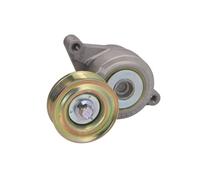 Dayco apv3005 Tensor de correa, - Correa de transmisión
