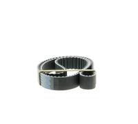 DAYCO Correa de distribución para MG: MG TF, MG ZR, MG F, MG ZT, MG ZS & ROVER: 200 Series, 25, 75, 45, 400 Series (Ref: 94906)