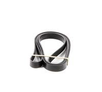 DAYCO Correa trapezoidal nervada para AUDI: 100, S6, A8 & SAAB: 9-5 (Ref: 6PK2615)