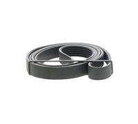 Dayco Correa trapezoidal nervada 6PK1873 (poly V)