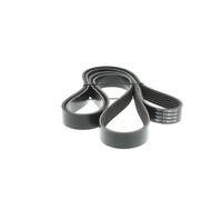 DAYCO Correa trapezoidal nervada para CITROËN: Berlingo, ZX, Jumpy, C5, C3, Xsara, C8, Evasion, Dispatch, Synergie, Xsara Picasso (Ref: 6PK1740)