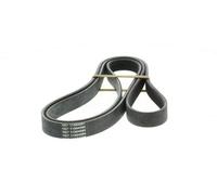 Correa poly V DAYCO 6PK1795