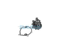 DAYCO DP279 Bomba de agua