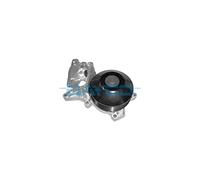 DAYCO DP333 Bomba de agua
