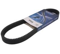 DAYCO HP3038 Correa dentada