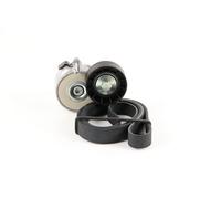 DAYCO Juego de correas auxiliares servicios para FIAT: Punto, 500, Strada, Panda, Doblo, Idea & LANCIA: Ypsilon, Musa (Ref: KPV110)