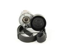DAYCO Juego de correas auxiliares servicios para RENAULT: Captur, Twingo, Kangoo, Mégane, Clio, Scénic, Modus, Thalia, Wind (Ref: KPV192)