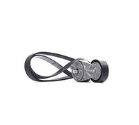 DAYCO Juego de correas trapezoidales KPV384