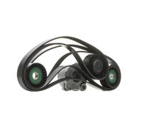 DAYCO KPV444 Juego de correas trapeciales poli V