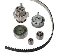 Dayco KTBWP7880 Bomba de Agua con Kit Correa Distribución