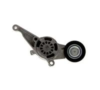 DAYCO Polea tensora, correa auxiliar servicios para VOLKSWAGEN: Sharan, Passat, Touran, Transporter, Golf, Eos, Caddy, Jetta (Ref: APV2501)