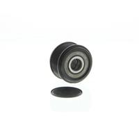 Polea del alternador ALP2445 DAYCO para AUDI VW SEAT CUPRA SKODA