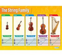 Daydream Education Familia de instrumentos de cuerda | pósteres de música | papel brillante de 850 mm x 594 mm (A1) | Gráficas de música para el aula | Diagramas de educación